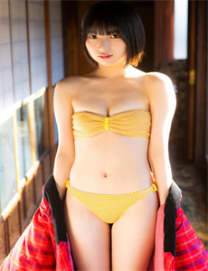 仿生原型